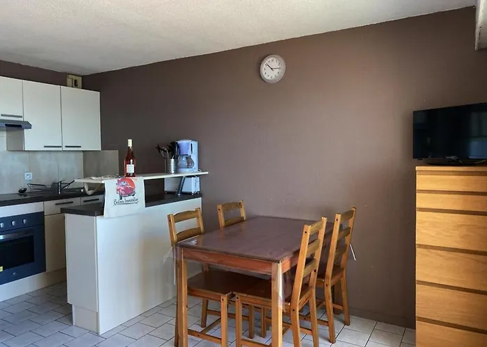 Apartment Avec Balcon-terrasse, Parking Privatif Et Acces A - Fr-1-336-28
